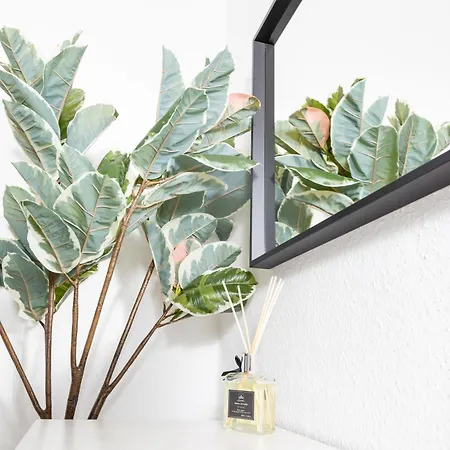 Modernes 5-zimmer Aparment - 8 Gaeste, Zentrumsnah *